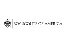 BSA